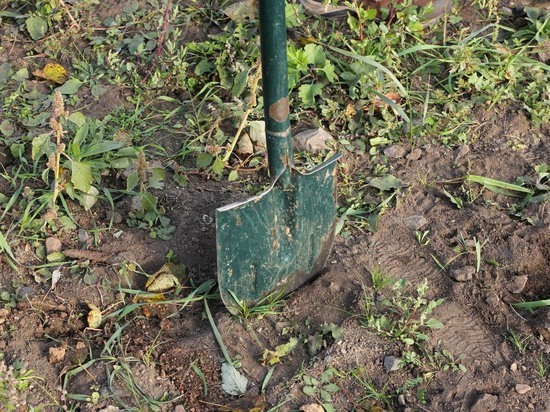 «Докопавшегося» до прокуратуры екатеринбуржца избили лопатой 