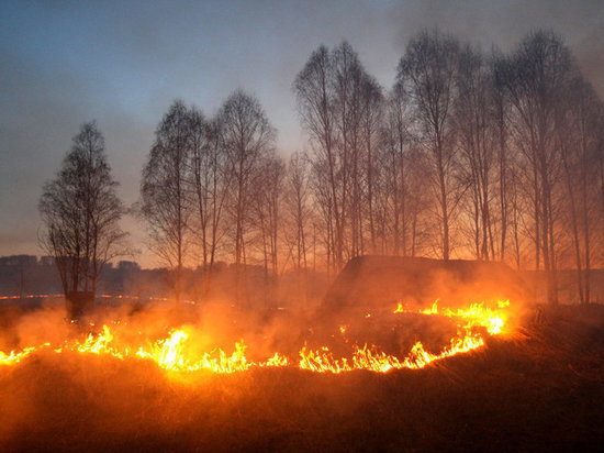 В Самарской области установили 4-ый класс пожарной опасности 