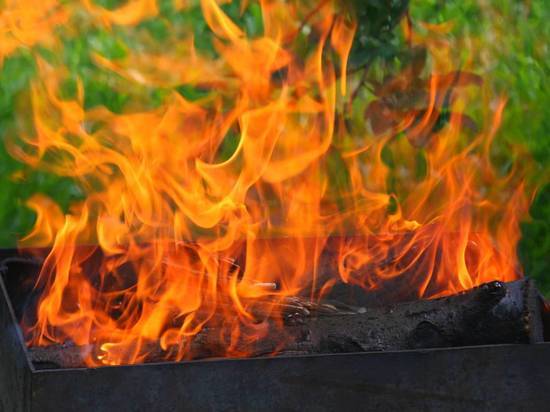 Фото: social.mk.ru