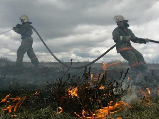 Жаркие выходные ознаменовались первым крупным травяным пожаром в Няндомском районе