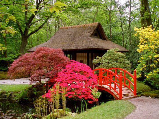 В Ульяновске 27 мая заложат Японский сад 