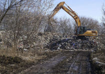 17 декабря в Сколково подвели итоги первого года работы национального проекта «Экология»