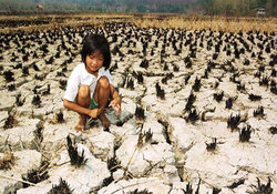 "Малыша" назвали главной причиной всех смут