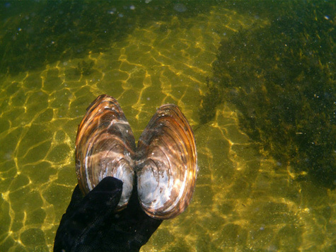 ����: twitpic.com/photos/MedvedevRussia