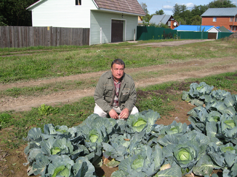 											Анатолий Кибека на своем поле.										