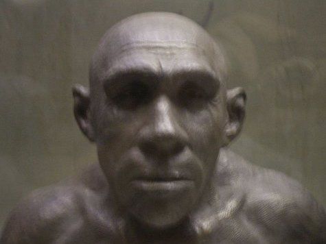 неандертальцы болльшие глаза антропология археология