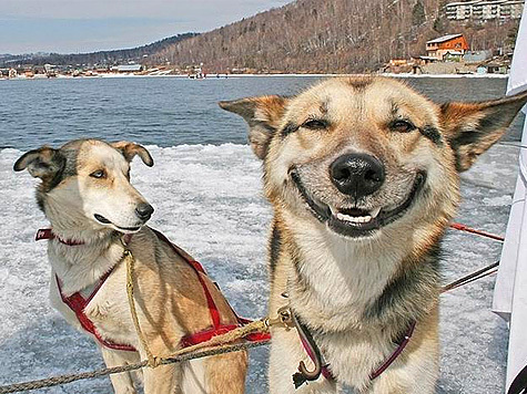 Зображення