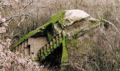 											nationofturks.com/abovetopsecret.com										