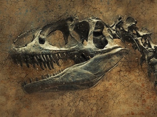 Найден зуб динозавра переворачивающий представления об истории Земли