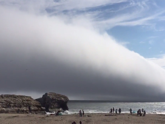 Ужаснувшее купальщиков гигантское облако над калифорнийским пляжем попало на видео