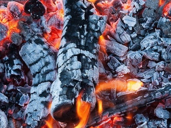 Житель Петербурга придумал мангал, который является одновременно углями и шампурами