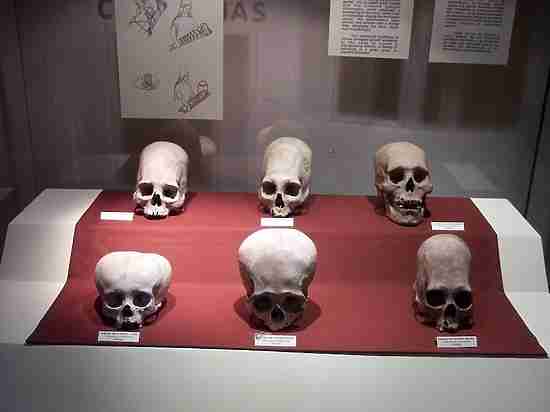 Разгадан секрет вытянутых черепов, обнаруженных в Баварии