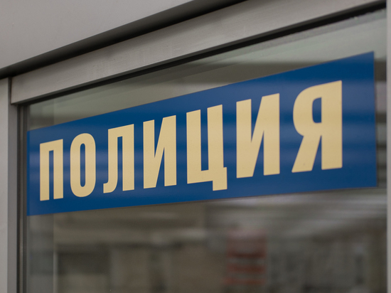 В подмосковной деревне избили и ограбили создателя "Мира" и ГЛОНАСС