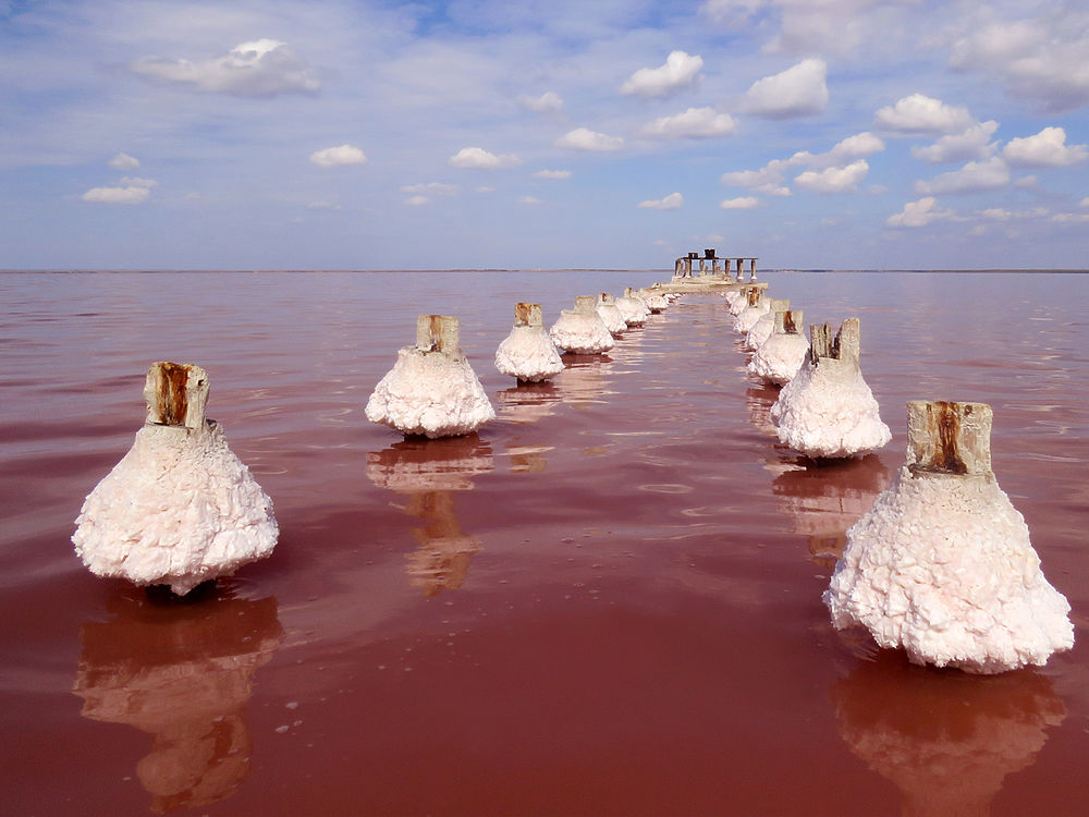 Соль добывается в озере. Сасык Сиваш озеро. Озеро Сасык Сиваш Евпатория. Озеро Сасык-Сиваш (розовое озеро). Крым соленое озеро Сиваш.