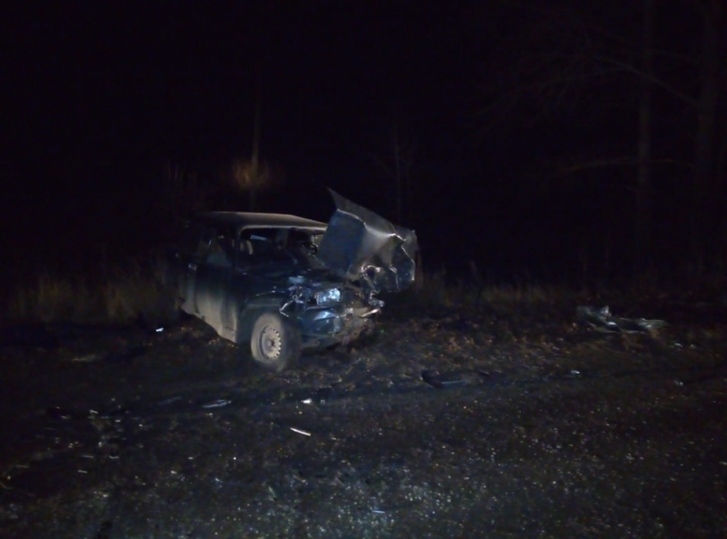 Происшествие на дороге в киреевском районе на сегодня. Киреевск новости происшествия. Происшествие в киреевске. Происшествия киреевске. Происшествия киреевске.