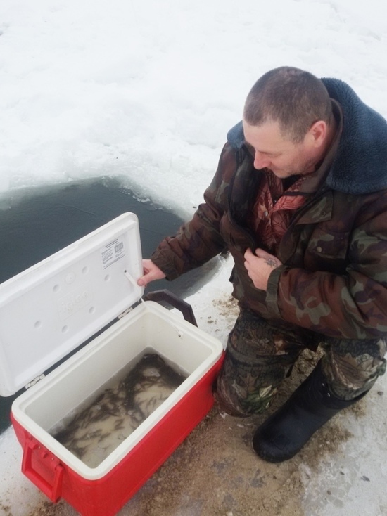 Тамбовский рыбак. Хороший улов. Тамбов шушпанское водохранилище. Рыбалка на озере. Тамбовские рыбаки.