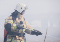 У лесопожарных Тверской области появилась новая техника