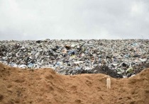 В Ярославской области вывели из эксплуатации четыре мусорных полигона