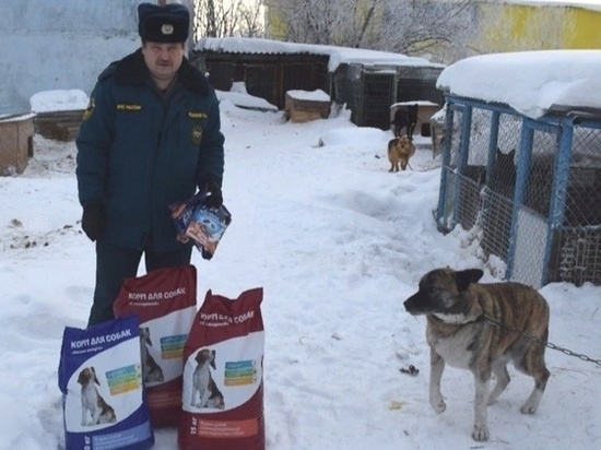 лангепас животное. лангепас символ города. памятник белке в лангепасе. лангепас животные. сотрудники мчс и бездомные животные.