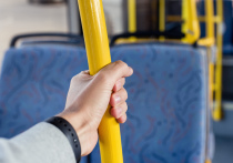 Автобус «Желание»: как запустить новый маршрут