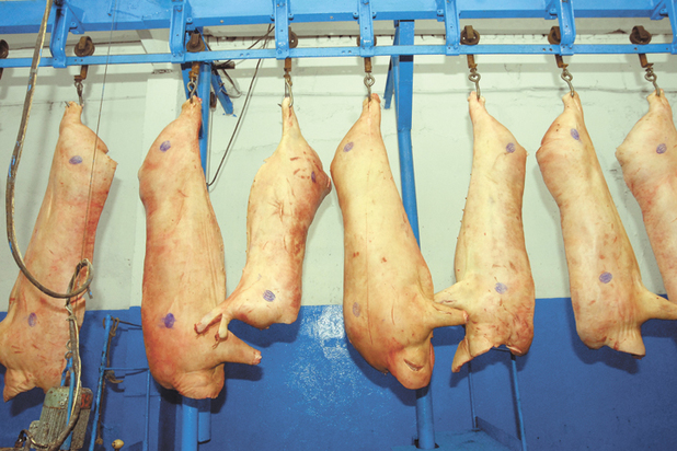 Купить Баранину В Уфе Магазины