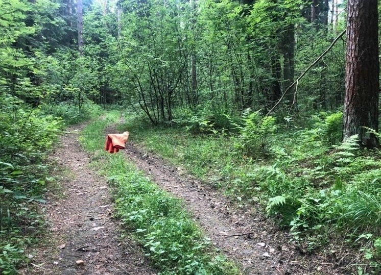 Фото Людей В Лесу