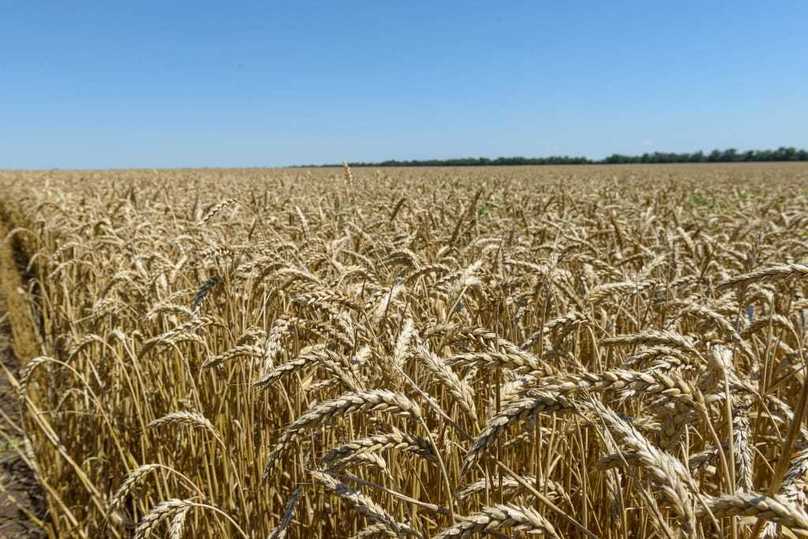 Люди, наука и модернизация: агрофирма «Победа» раскрывает секреты успеха Люди, наука и модернизация: агрофирма «Победа» раскрывает секреты успеха