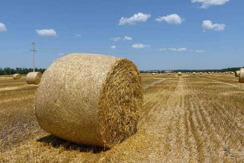 Люди, наука и модернизация: агрофирма «Победа» раскрывает секреты успеха Люди, наука и модернизация: агрофирма «Победа» раскрывает секреты успеха