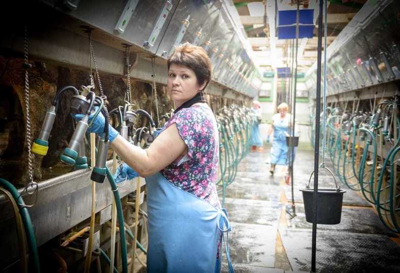 Люди, наука и модернизация: агрофирма «Победа» раскрывает секреты успеха Люди, наука и модернизация: агрофирма «Победа» раскрывает секреты успеха