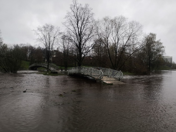 Фото: группа "Живой Петрозаводск"