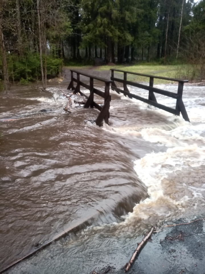 Фото: группа "Живой Петрозаводск"