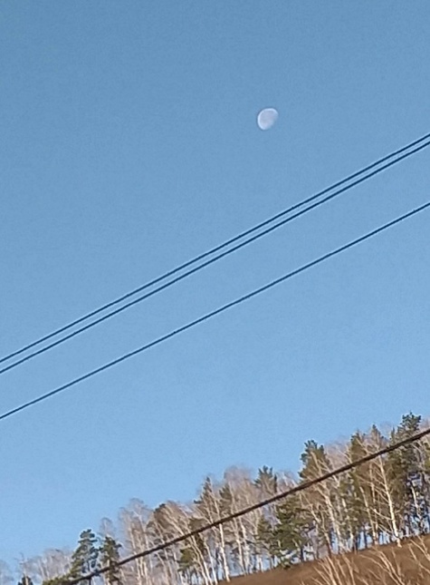 Задержавшаяся на небе луна привлекла внимание кемеровчан - МК Кузбасс