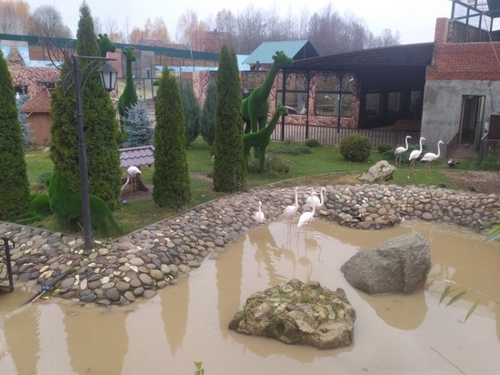 Панорама: Биосфера, ресторан, Комфортная ул., 15, Калуга - Яндекс Карты