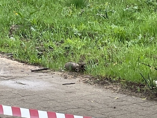 Улицы москвы сейчас. Найдено электросталь. Улица тевосяна 42а электросталь. Расковой 10 электросталь. Город электросталь москва.