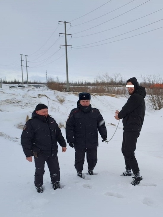 Сизо лабытнанги. С днем следователя. Обыск ссср. Кудрявцев андрей александрович салехард. Уголовные дела янао.