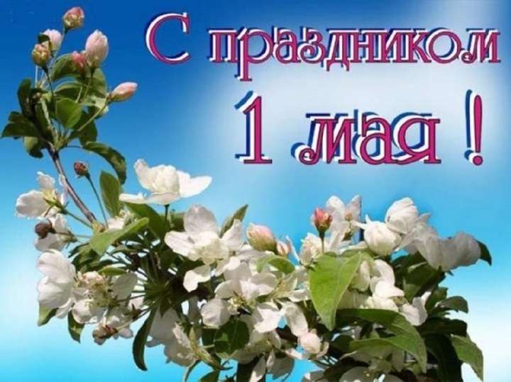 Картинки на 1 мая 2023: красивые и прикольные открытки с надписями к  Празднику Весны и Труда - МК Новосибирск