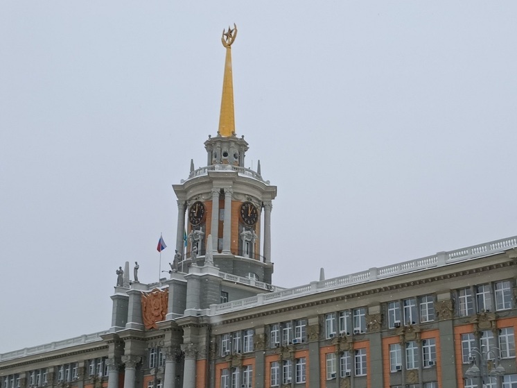 Бюджету деньги не нужны? Мэрия Екатеринбурга не взыскивает с владельцев двух сне