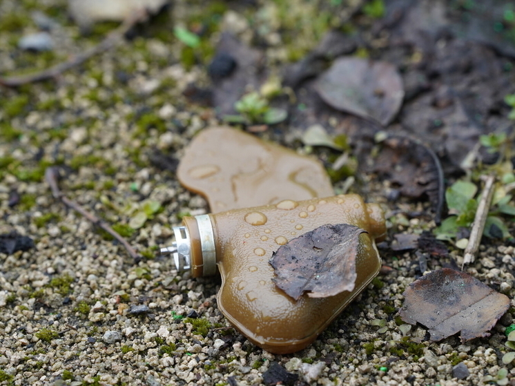 Пфм-1 мина. Мина лепесток замаскированная. Мина лепесток замаскированная. Мина пмф 1 лепесток. Пфм-1 мина.