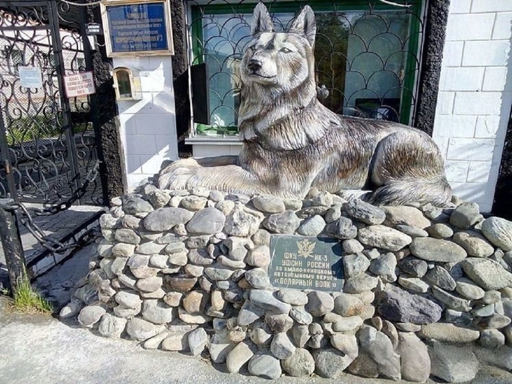 Canis lupus orion Animals In Culture Wiki Fandom