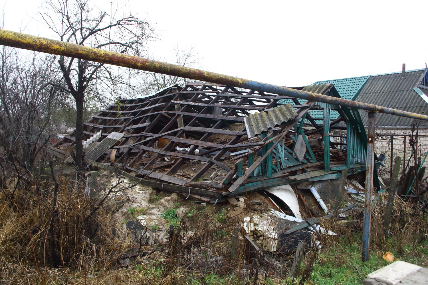 рязань голая