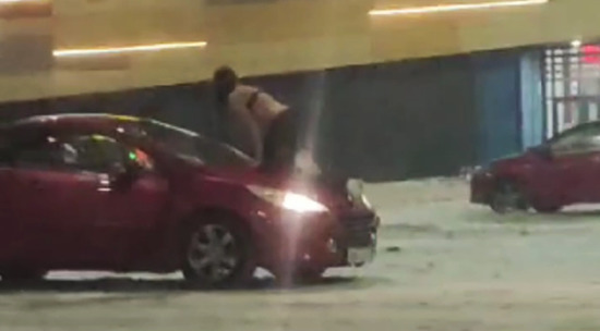 дениз милани бюст. самки девушки. дениз милани 2018. аллегра коул (allegra cole) boobs. аллегра коул 2022.