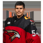 Никита Серебряков 