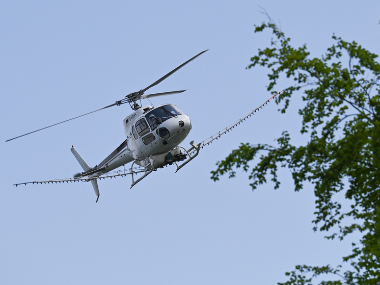 Американских военных обвинили в распылении токсичных химикатов в рамках секретной программы