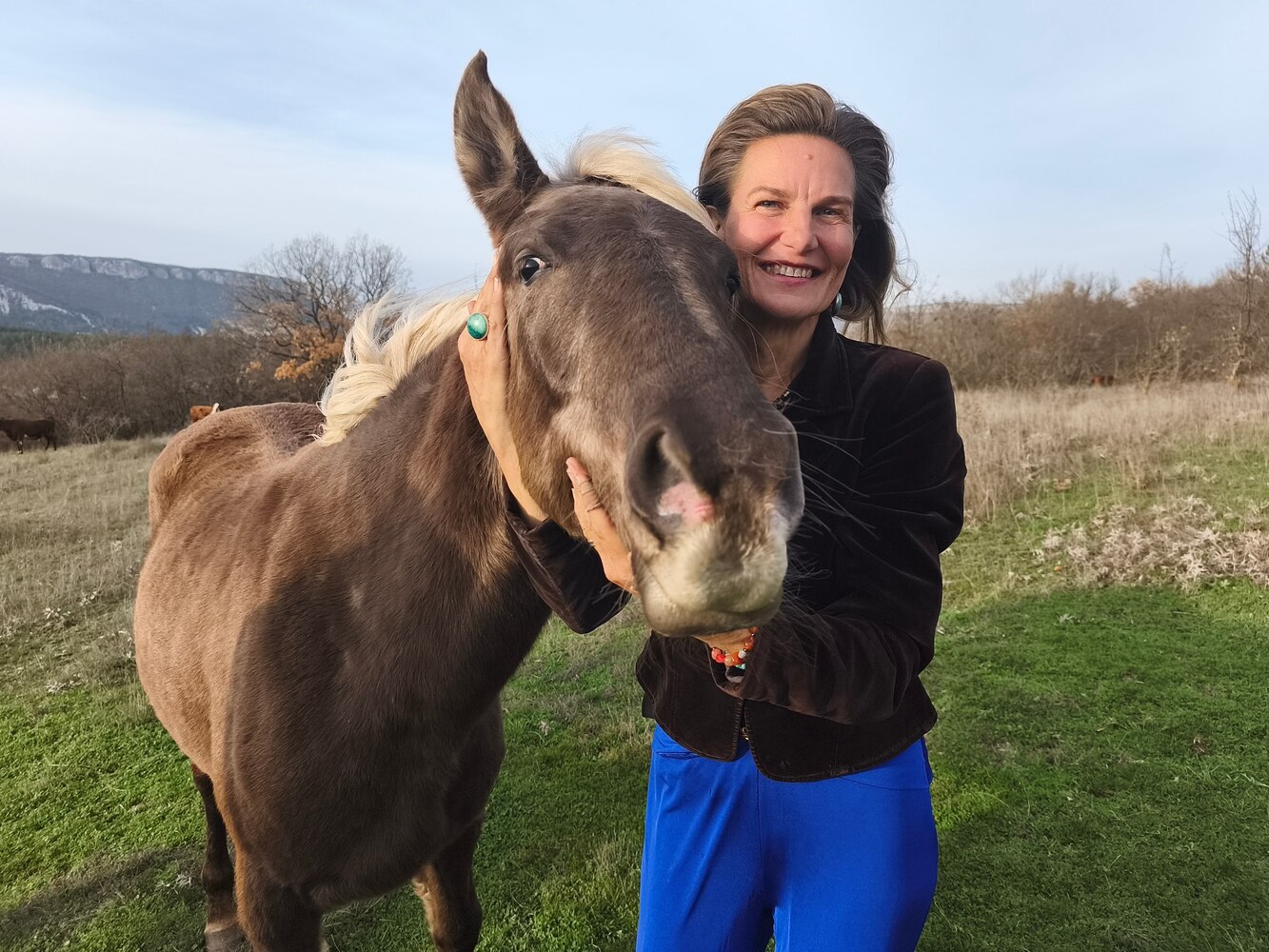 Зурбаганский коник: в Крыму возрождают уникальную породу горных лошадей