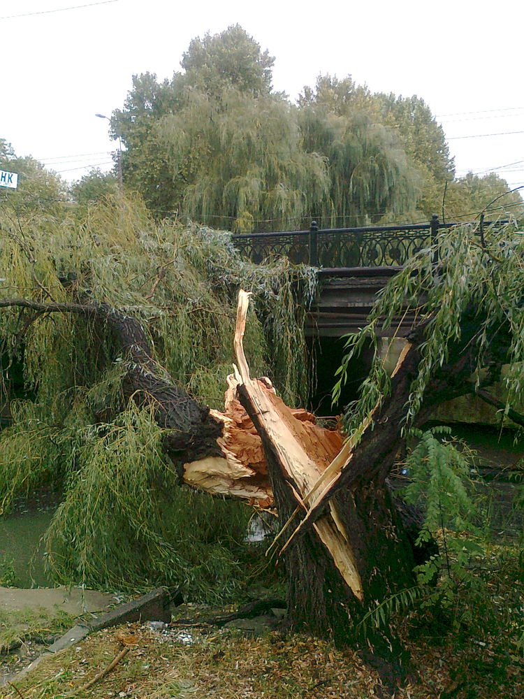 сильный ветер в крыму сегодня. чп крымский ветер. в севастополе ураган 2022. чп крымский ветер. ураган в симферополе сегодня.
